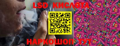 ешки Сланцы