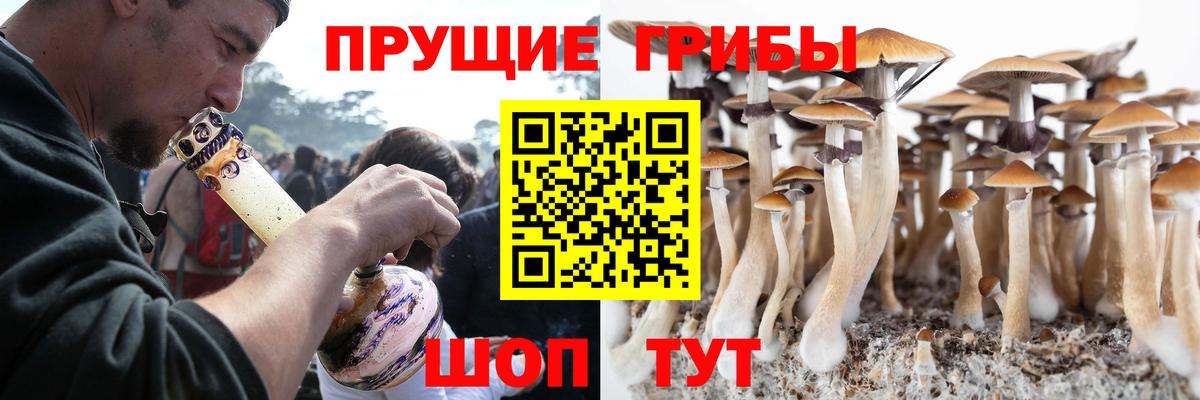 Псилоцибиновые грибы GOLDEN TEACHER  Вход с VPN  Белогорск 